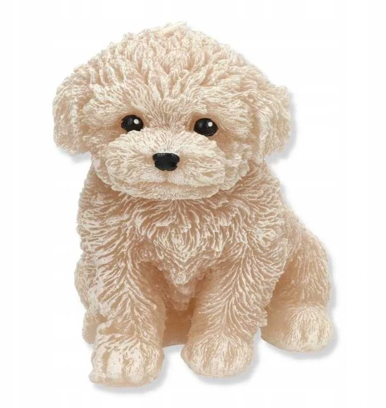 KOOPMAN Mondex Žvakė figūrėlė GYVŪNAI ŠUNŲ PUDLIS 13x13cm smėlio spalvos parafinas