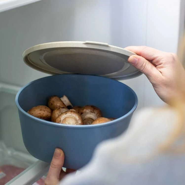 CONNECT BOX maisto indas, sandarus, 2l, KOZIOL
