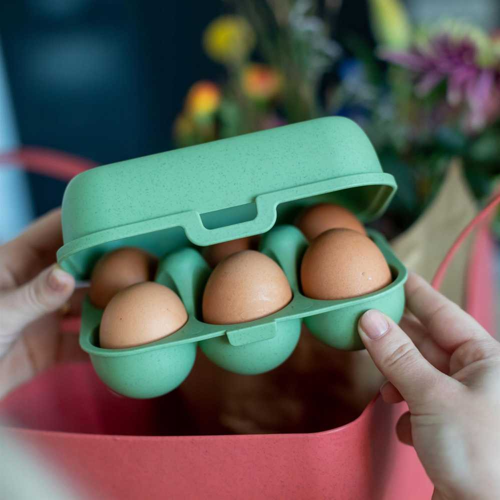 PIECES EGGS TO GO MINI kiaušinių konteineris, 6 vnt., KOZIOL