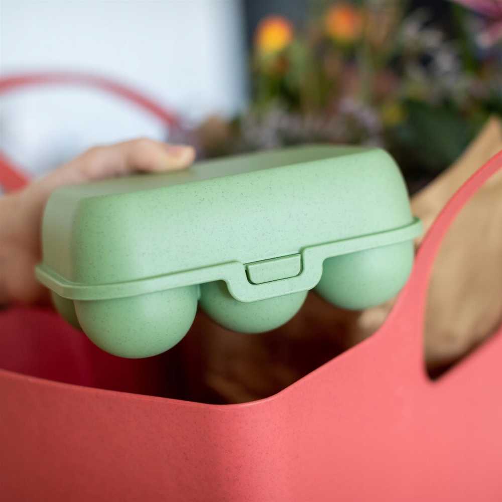 PIECES EGGS TO GO MINI kiaušinių konteineris, 6 vnt., KOZIOL