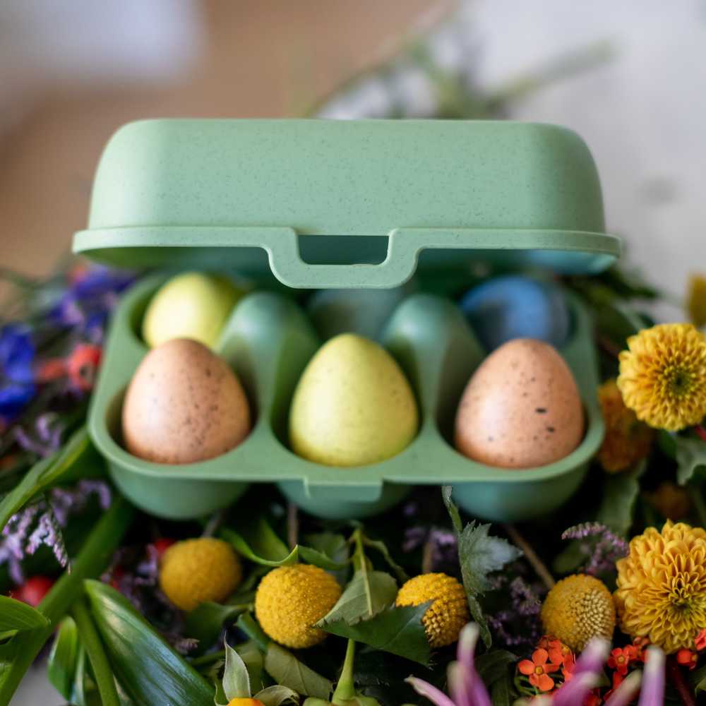 PIECES EGGS TO GO MINI kiaušinių konteineris, 6 vnt., KOZIOL