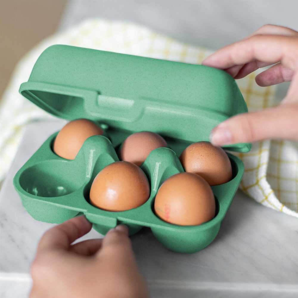 PIECES EGGS TO GO MINI kiaušinių konteineris, 6 vnt., KOZIOL