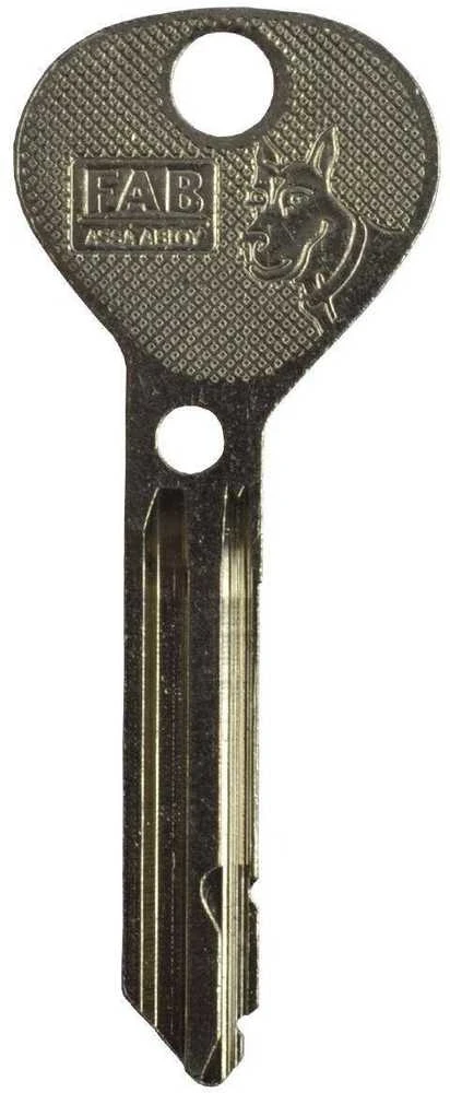 Abloy RUOŠINYS RAKTŲ 200RS RRS1 FA207GG074.100