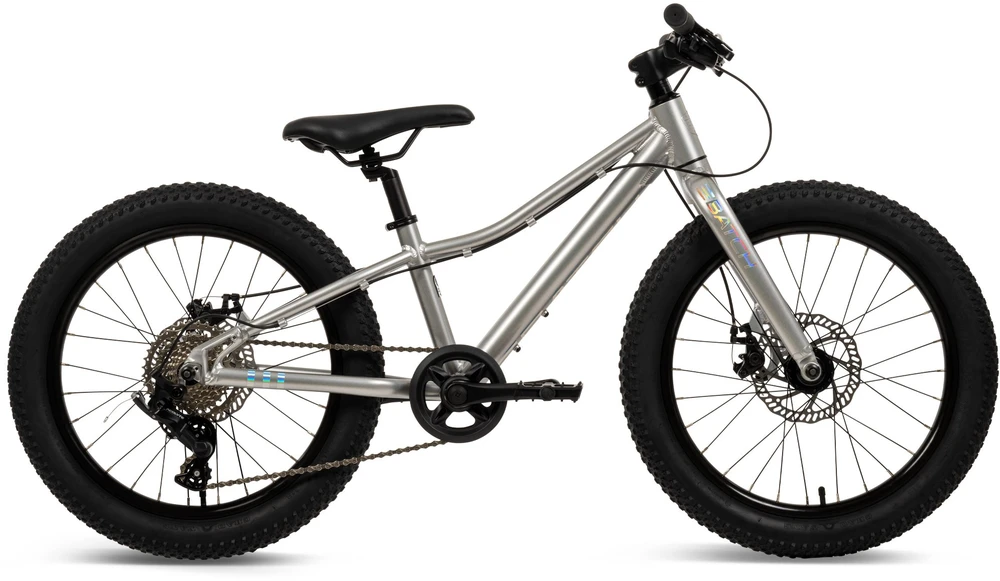 Ks Cycling Batch Bicycles 20" MTB Sidabrinis