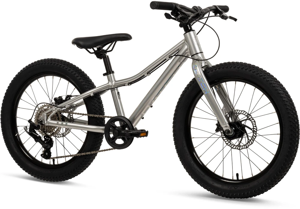 Ks Cycling Batch Bicycles 20" MTB Sidabrinis