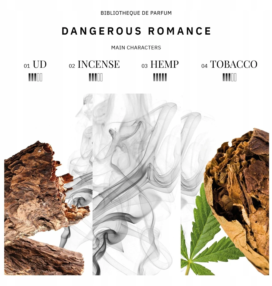 Bibliotheque De Parfum KVAPŲ BIBLIOTEKA „Dangerous Romance“ EDP purškiklis 100 ml