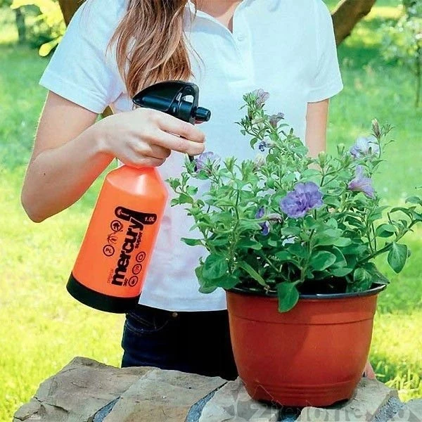KWAZAR PURKŠTUVAS MERCURY SUPER 360 CLEANING PRO NBR