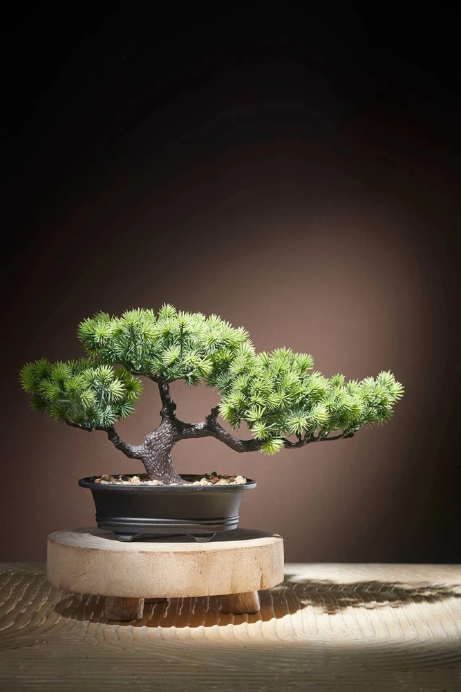 MICA BONSAI ARTIFICIAL IN A POT 33X21CM