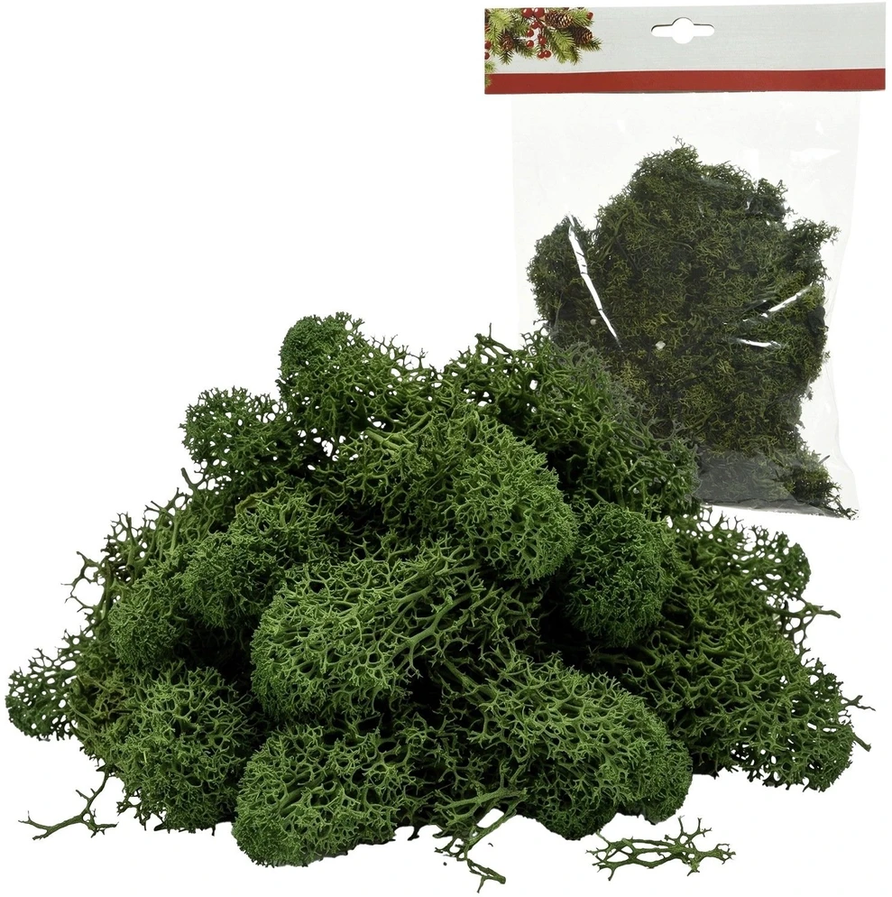Kwiatydonice Dekoratyvinės samanos. 50 g