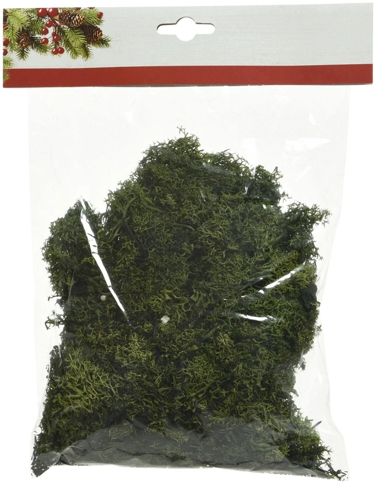 Kwiatydonice Dekoratyvinės samanos. 50 g