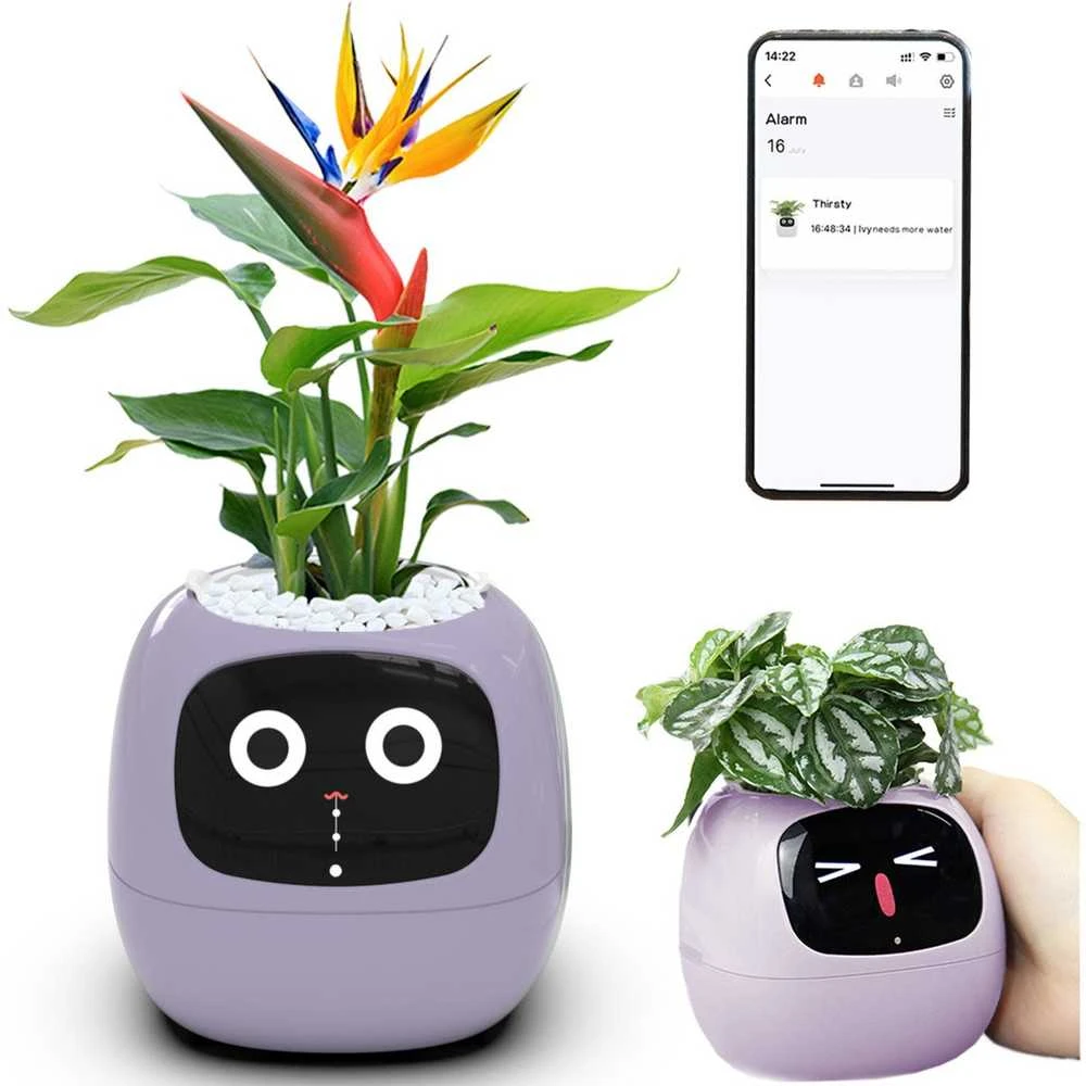 Kwiatydonice PlantsIO gebenė violetinė