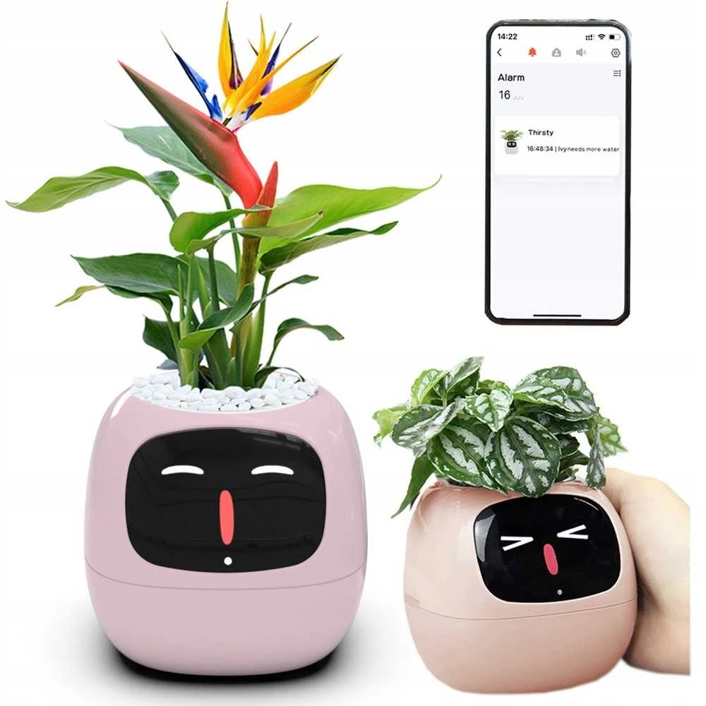 Kwiatydonice PlantsIO gebenė rožinė