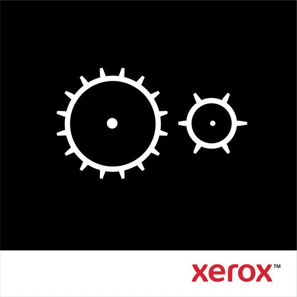 „Kyocera Xerox“ priežiūros rinkinys skaitytuvui „116R00039“, priežiūros blokas