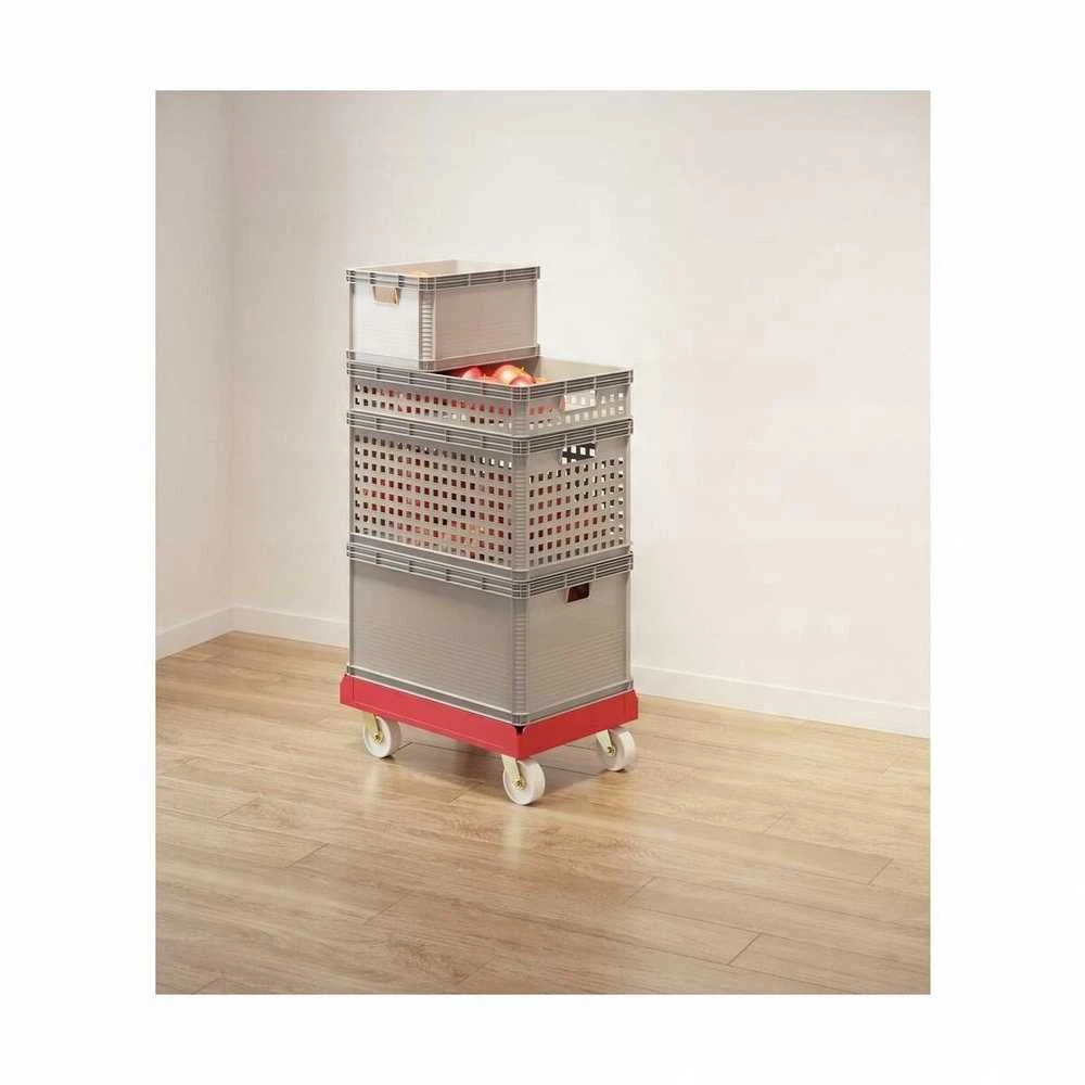 Keeeper transportavimo krepšys, kurio keliamoji galia iki 30 kg, Robert 60x40x12cm 22L pilka
