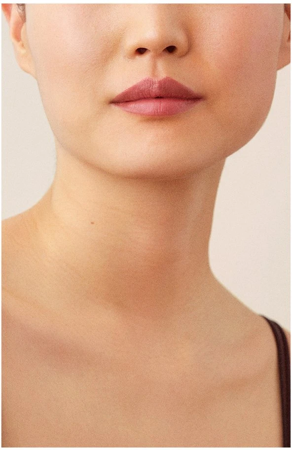 La Perla Matte Silk Matte Kreminis Lipstick 101 Nude Raudona 3.5 g