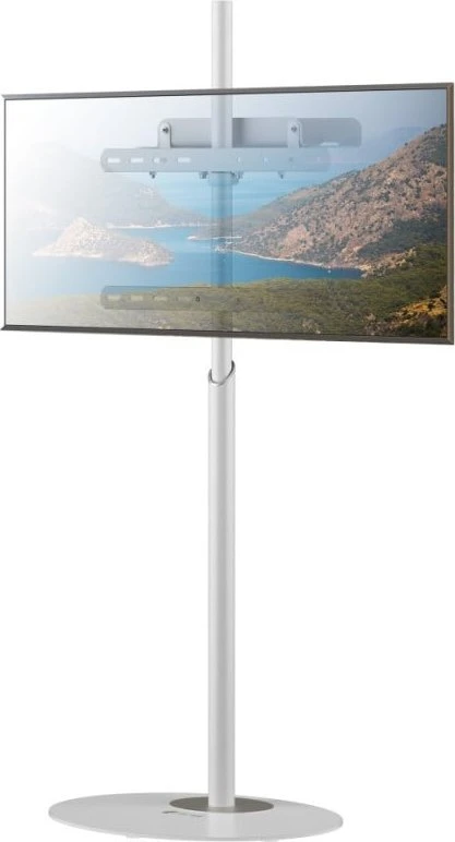 Laikiklis Techly TV grindų stovas 32"-65" iki 35kg reguliuojamas baltas