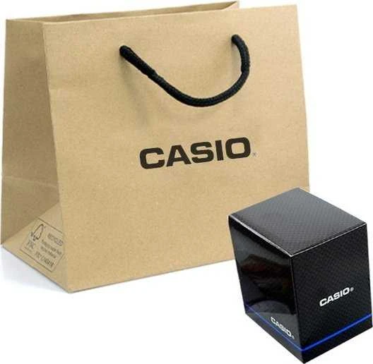 Laikrodis Casio WS-1500H-5BVEF