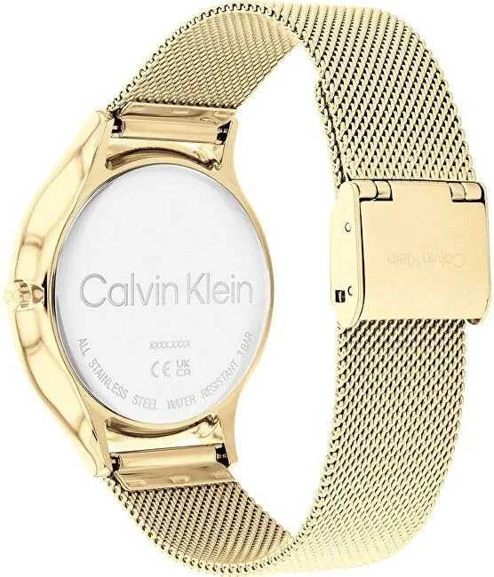 CALVIN KLEIN Nesenstantis tinklinis laikrodis moterims 25200003 + Dėžutė