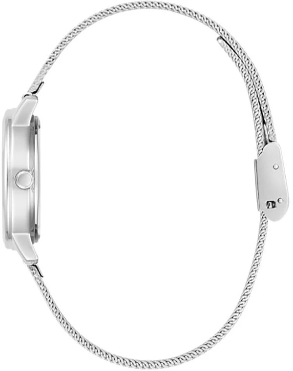 Laikrodis Watches GUESS LADIES GW0666L1