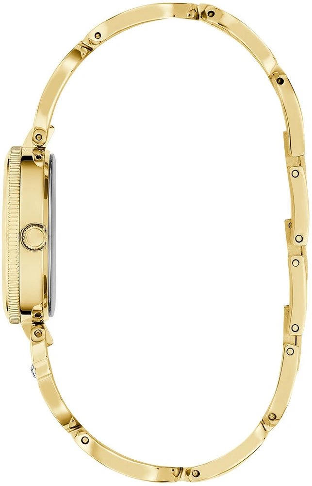 Laikrodis Watches GUESS LADIES GW0759L2