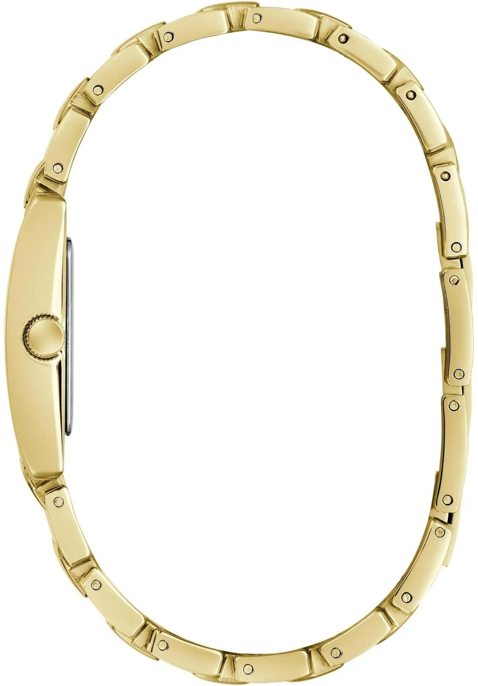 Laikrodis Watches GUESS LADIES GW1026L2