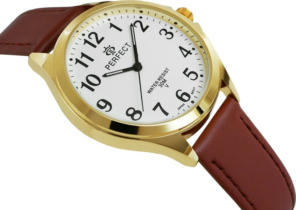 Vyriškas laikrodis GXB412-12 PERFECT