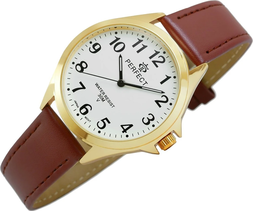 Vyriškas laikrodis GXB412-12 PERFECT