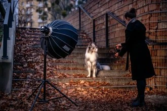 Apšvietimo įranga - Newell Tara 40 RGB LED šviesa (integruota baterija, 2500K-6500K)