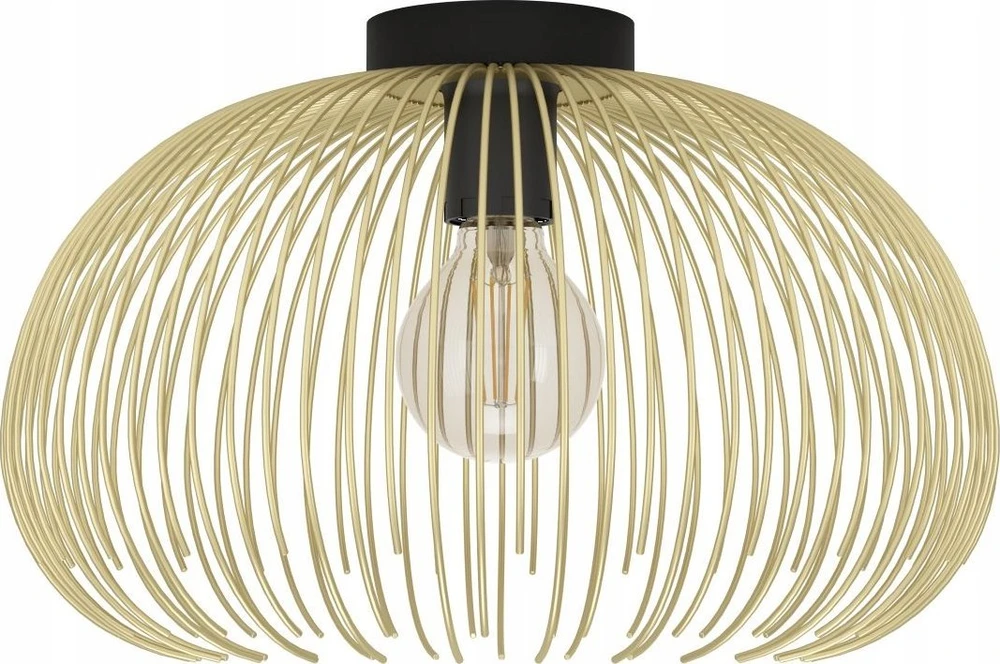 Lubinis šviestuvas Šviestuvas lubinis Eglo VENEZUELA, 40 W, E27, 900165