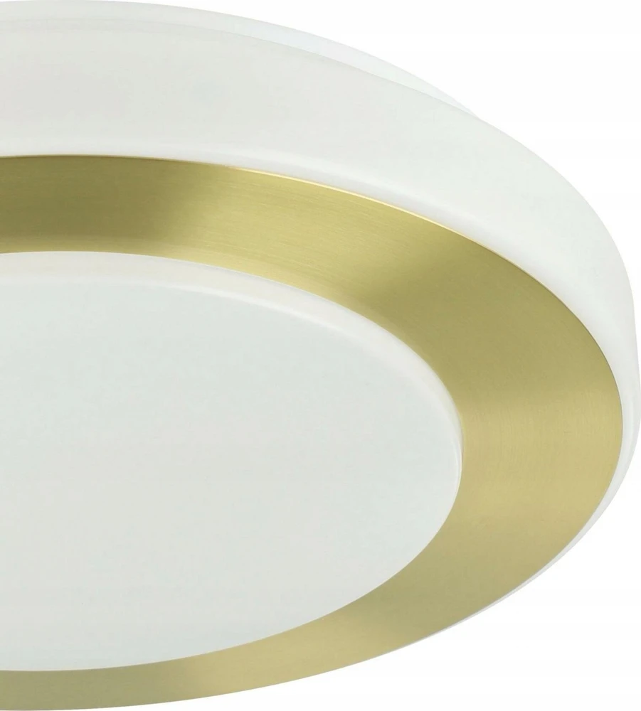 Lubinis šviestuvas Šviestuvas plafonas Eglo CARPI, 10.8 W, LED, 900369
