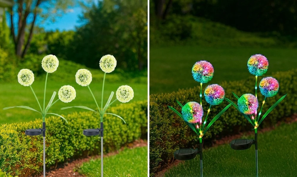 Maximex Solar garden lights, LED dandelions, 2 pieces, 75 cm