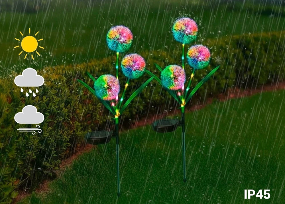 Maximex Solar garden lights, LED dandelions, 2 pieces, 75 cm