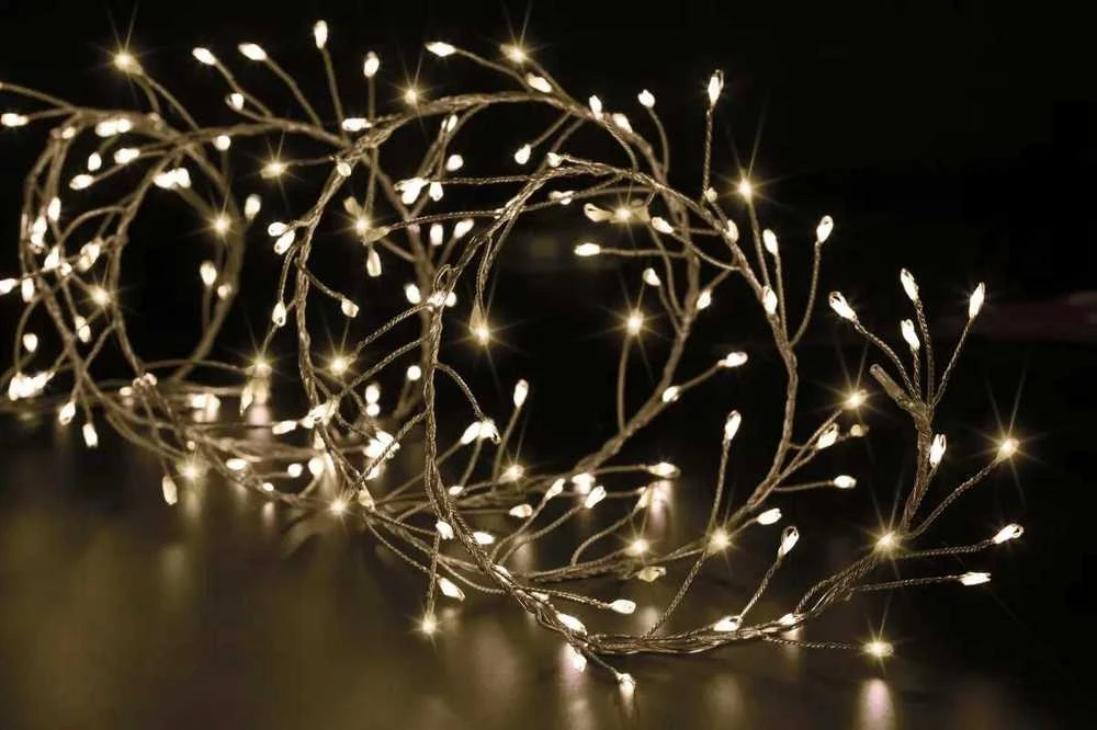Fééric Lights and Christmas Outdoor Lauko šviesos girlianda, 400 LED