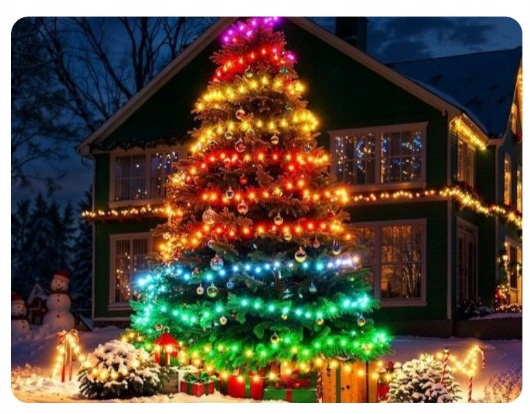 Govee H80C4C41 String Lights 2S 20m | Oświetlenie LED | RGBWIC
