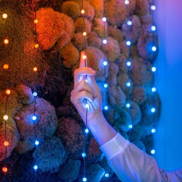 Kalėdinė girlianda Twinkly Candies 100 RGB LED USB- C, žalios spalvos laidas