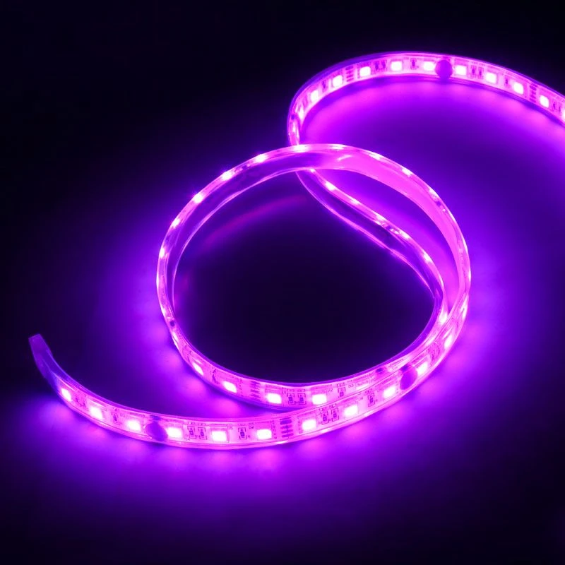 Lamptron „FlexLight“ kelių RGB LED juosta. 10 m (LAMP-LEDFM1010)