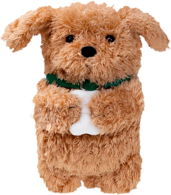 Dėklas Laut MAGMOJI Wallet - portfel kompatybilny su MagSafe (Ginger Dog)
