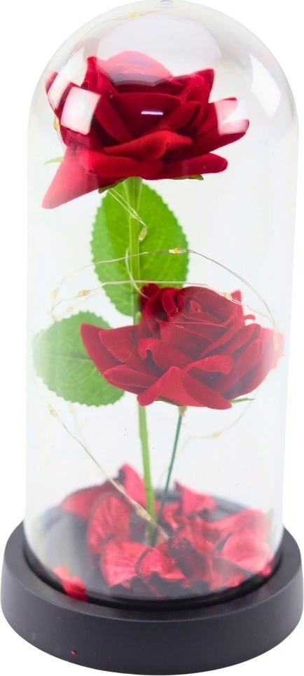 Lean Eternal 2 Roses in Dome with LED apšvietimas and Rose Petals Raudona 21x11cm