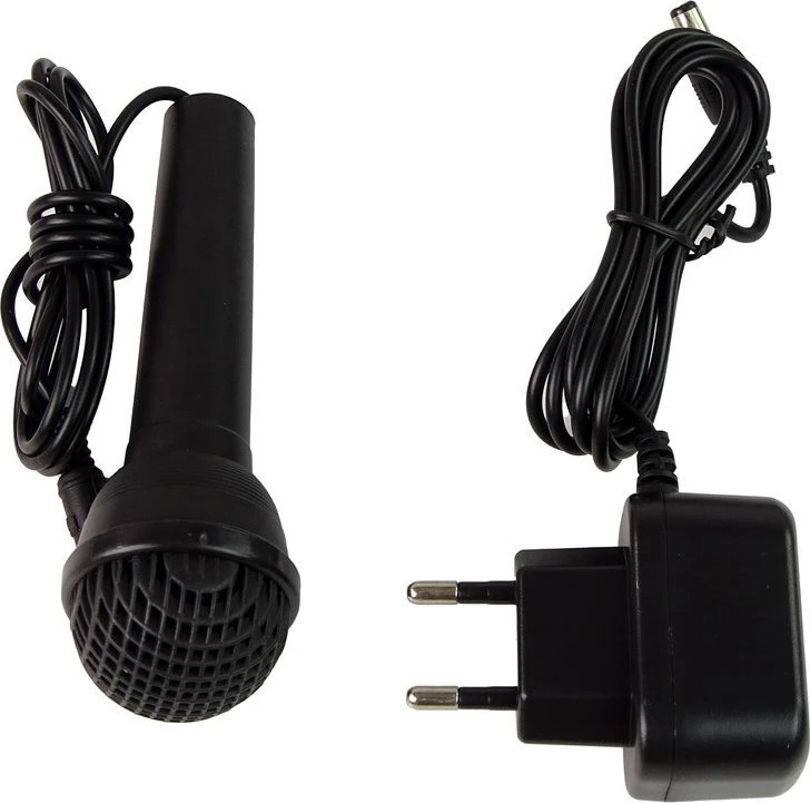 Keyboard Vaikiška klaviatūra Lean Toys MQ-6110 su mikrofonu