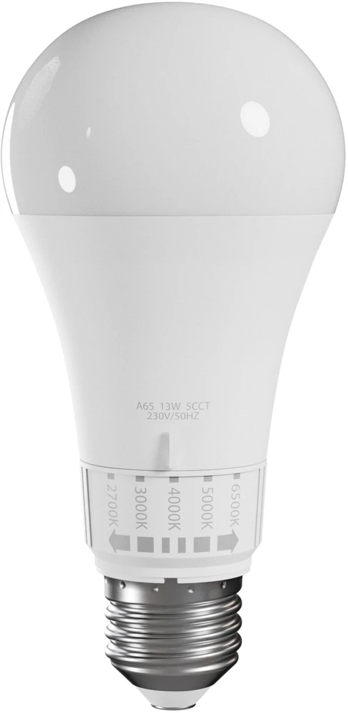 LEMP LED E-27 230V 13W 5CCT SPECTRUM
