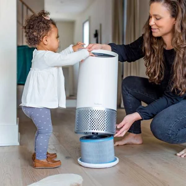 Drėkintuvas Leitz Allergy Carbon Filter średni