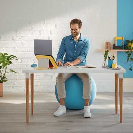 Sėdėjimo kamuolys Leitz Ergo Cosy, 65cm, aksominės pilkos spalvos