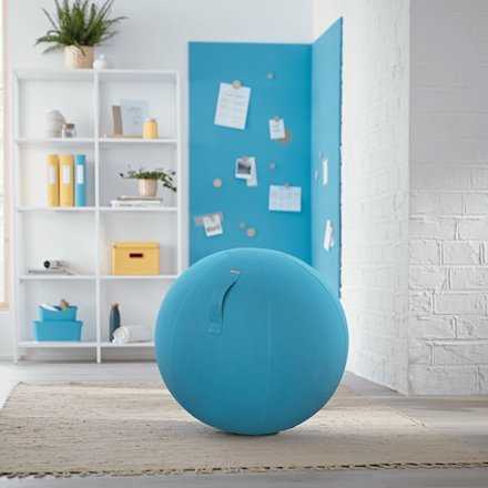 Sėdėjimo kamuolys Leitz Ergo Cosy, 65cm, ramios mėlynos spalvos