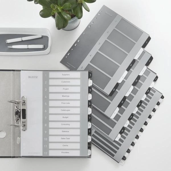 Leitz Plastikiniai kasetės spausdinti tekstą į kortelę, Leitz WOW, 15, juodas 12130000