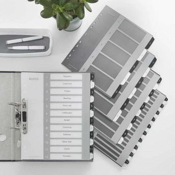Leitz Plastikiniai kasetės spausdinti tekstą į kortelę, Leitz WOW, 112, juodas 12160000