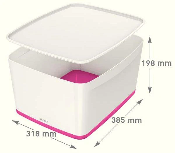 Daiktadėžė LEITZ MyBox su dangteliu, didelė