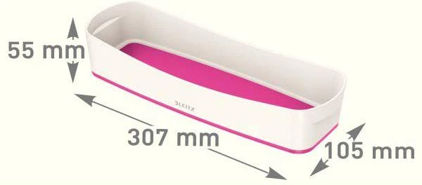 Dėžutė daiktams LEITZ MyBox, pailga