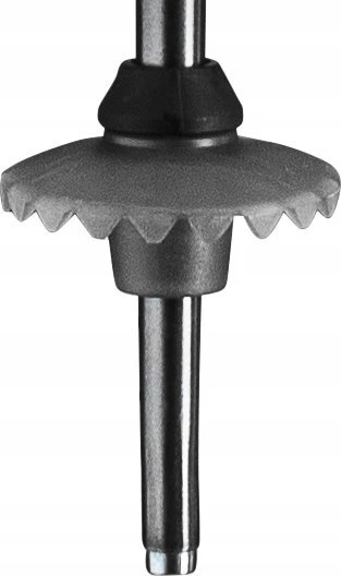 LEKI BLISS rose auksinis poles 115 cm