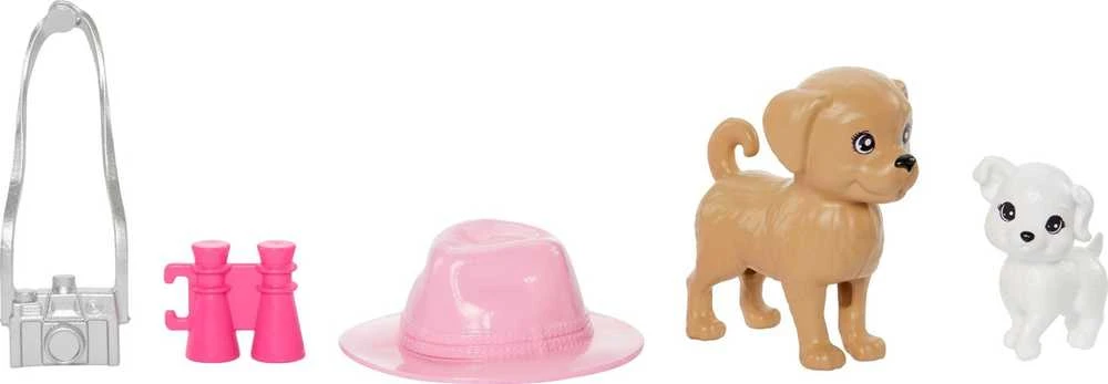Mattel Lėlės Barbie Stacie ir Barbie 2 vnt. rinkinys