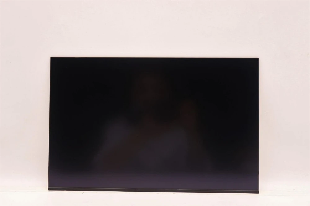 Lenovo DISPLAY AUO 16.0 WUXGA IPS AG diskas